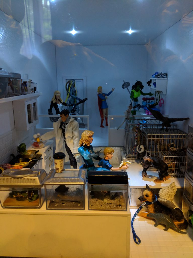 Dollhouse Animal Uplift Room and Gym by Suzanne Forbes. Photo by Daria Rein.