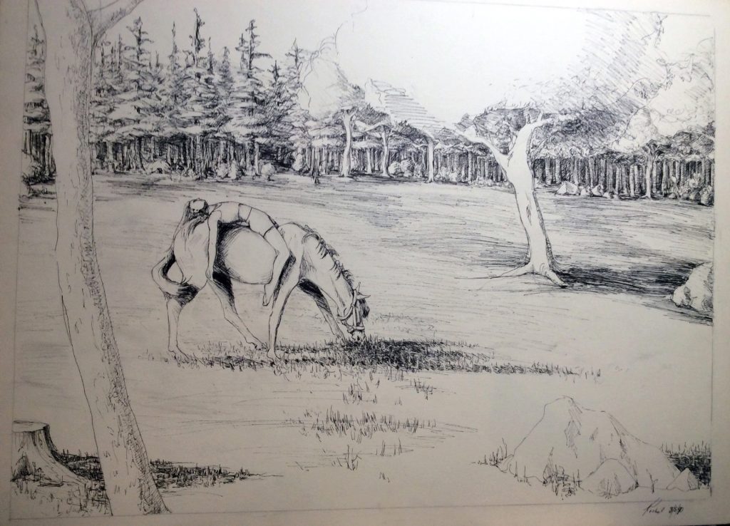 Rachel on Bucky summer 1977 or 8 by Rachel Ketchum aka Suzanne Rachel Forbes Spring 1992