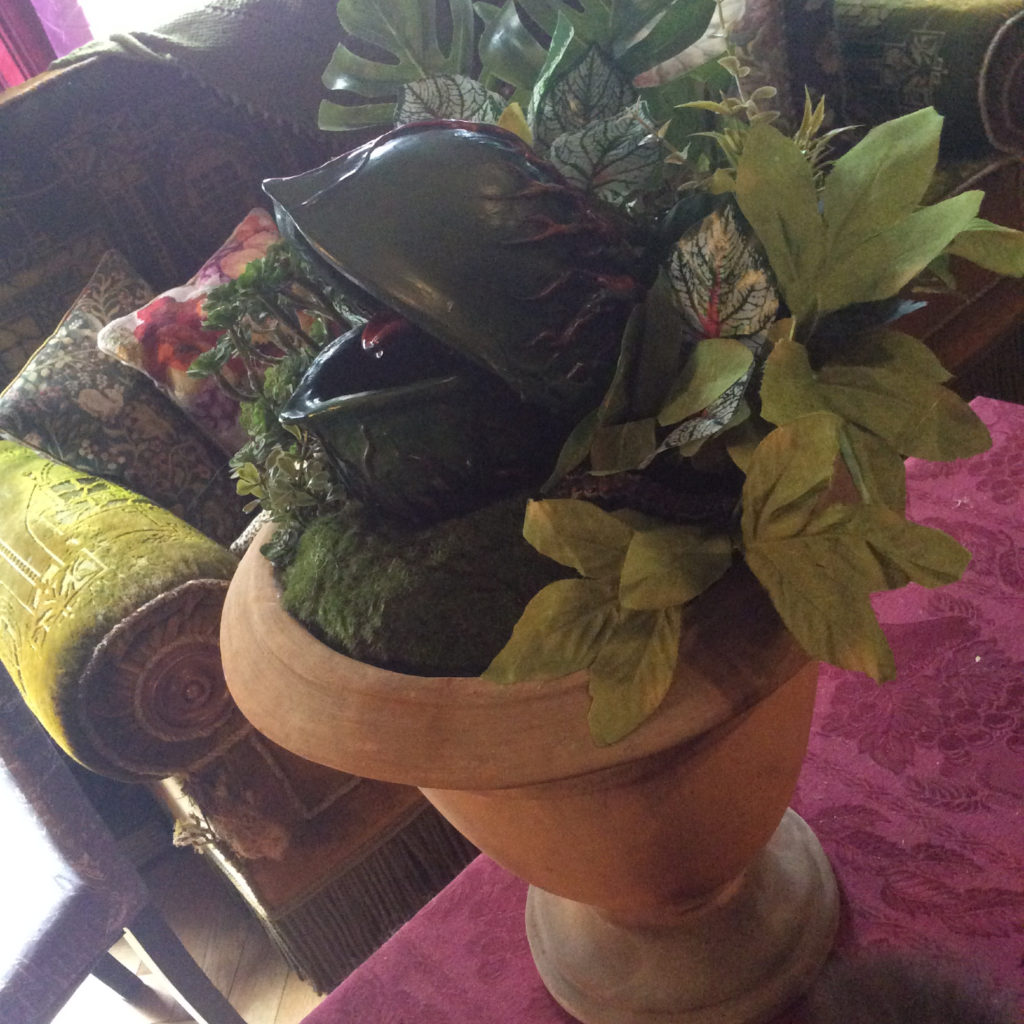 Alien venus flytrap by Suzanne Forbes May 2020