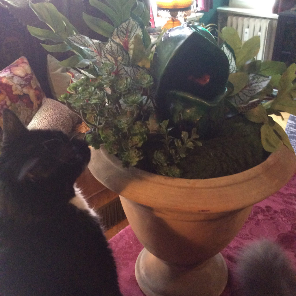 Alien venus flytrap and Morgan by Suzanne Forbes May 2020