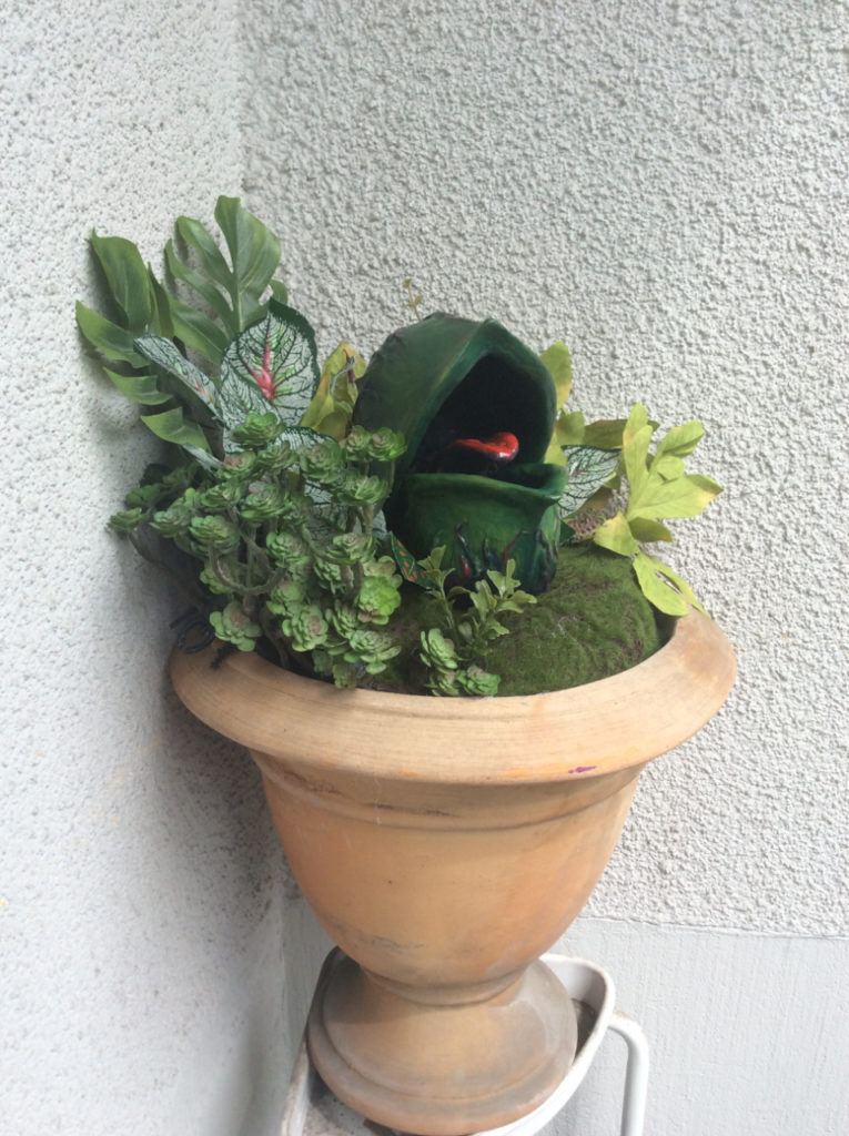 Alien venus flytrap on balcony Suzanne Forbes May 2020