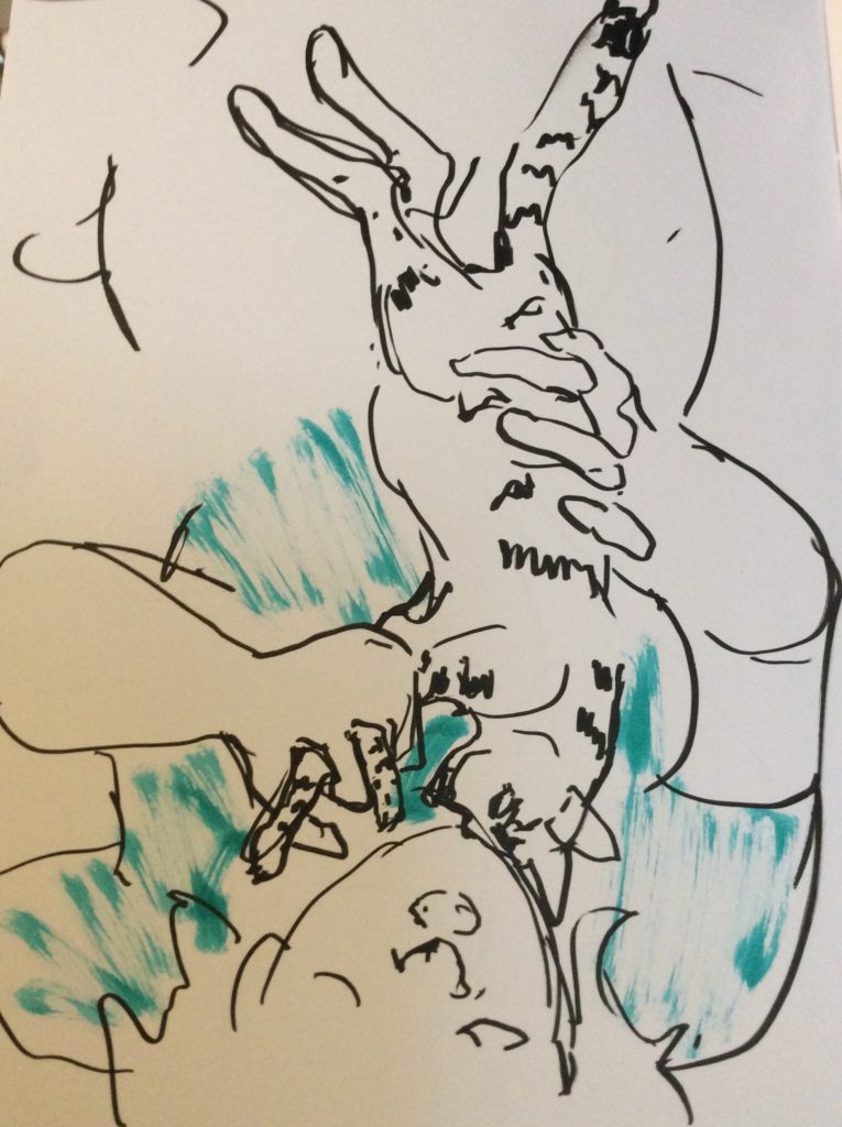 Cody bed sketch Sept 25 2021 by Suzanne Forbes 