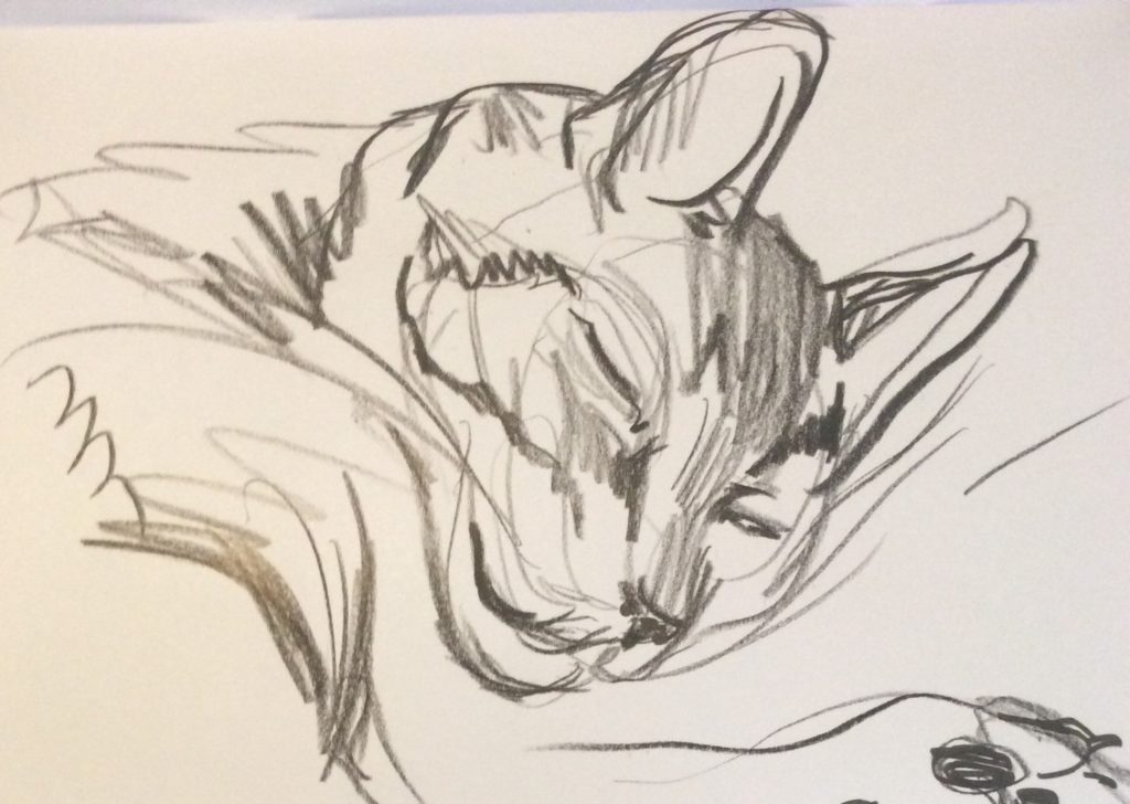 Cody face sketch Sept 25 2021 Suzanne Forbes