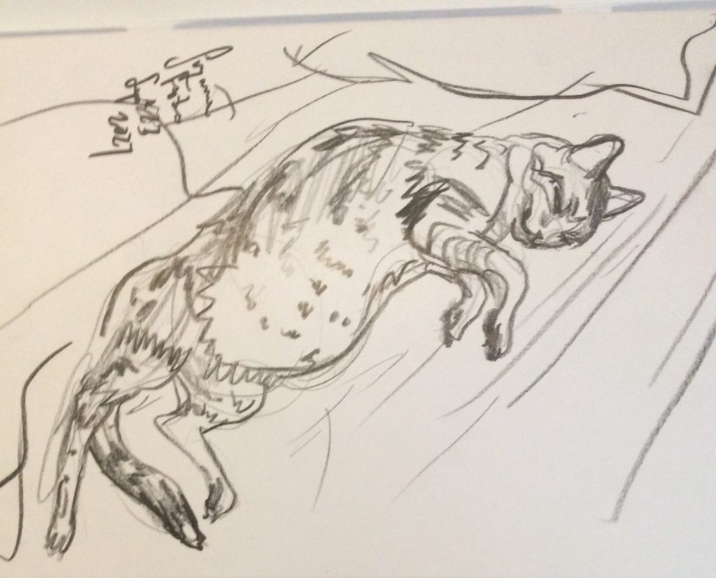 Cody resting sketch Sept 25 2021 Suzanne Forbes