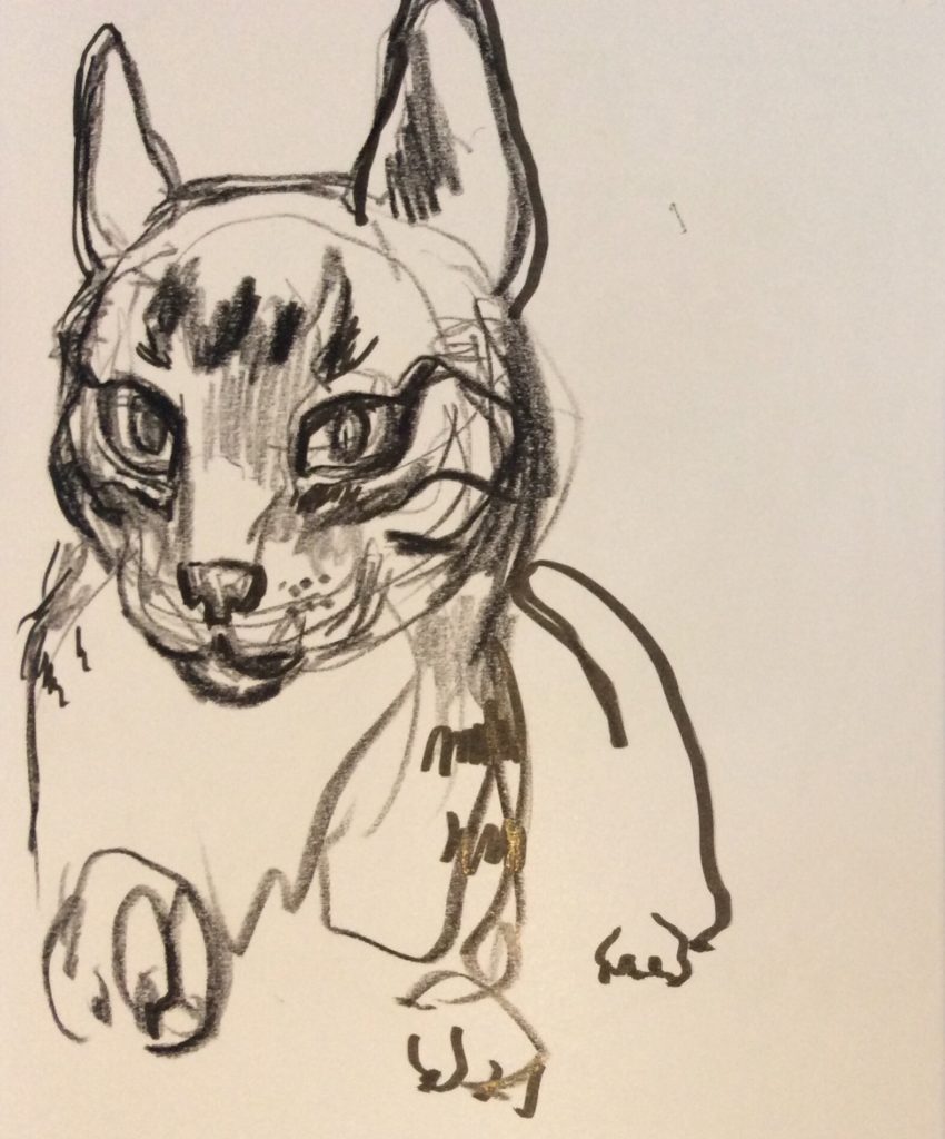 Cody sketch Sept 25 2021 Suzanne Forbes 2