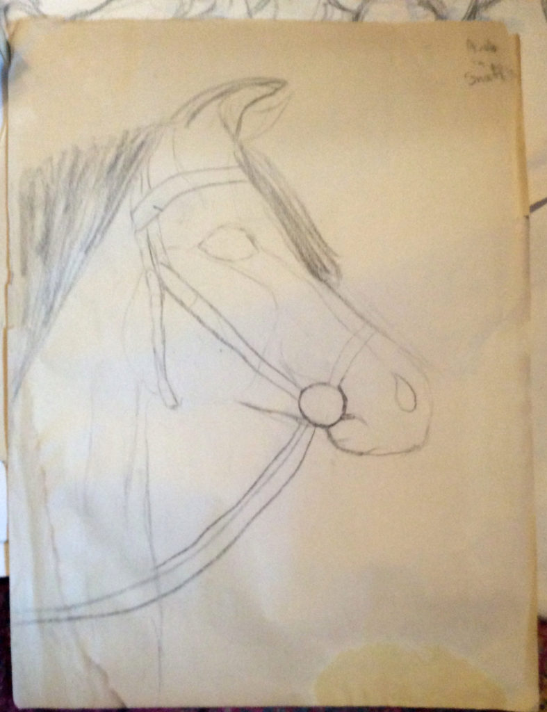 Horse Drawing by Suzanne Forbes working as Rachel Ketchum probably 1977 at Art Students League.